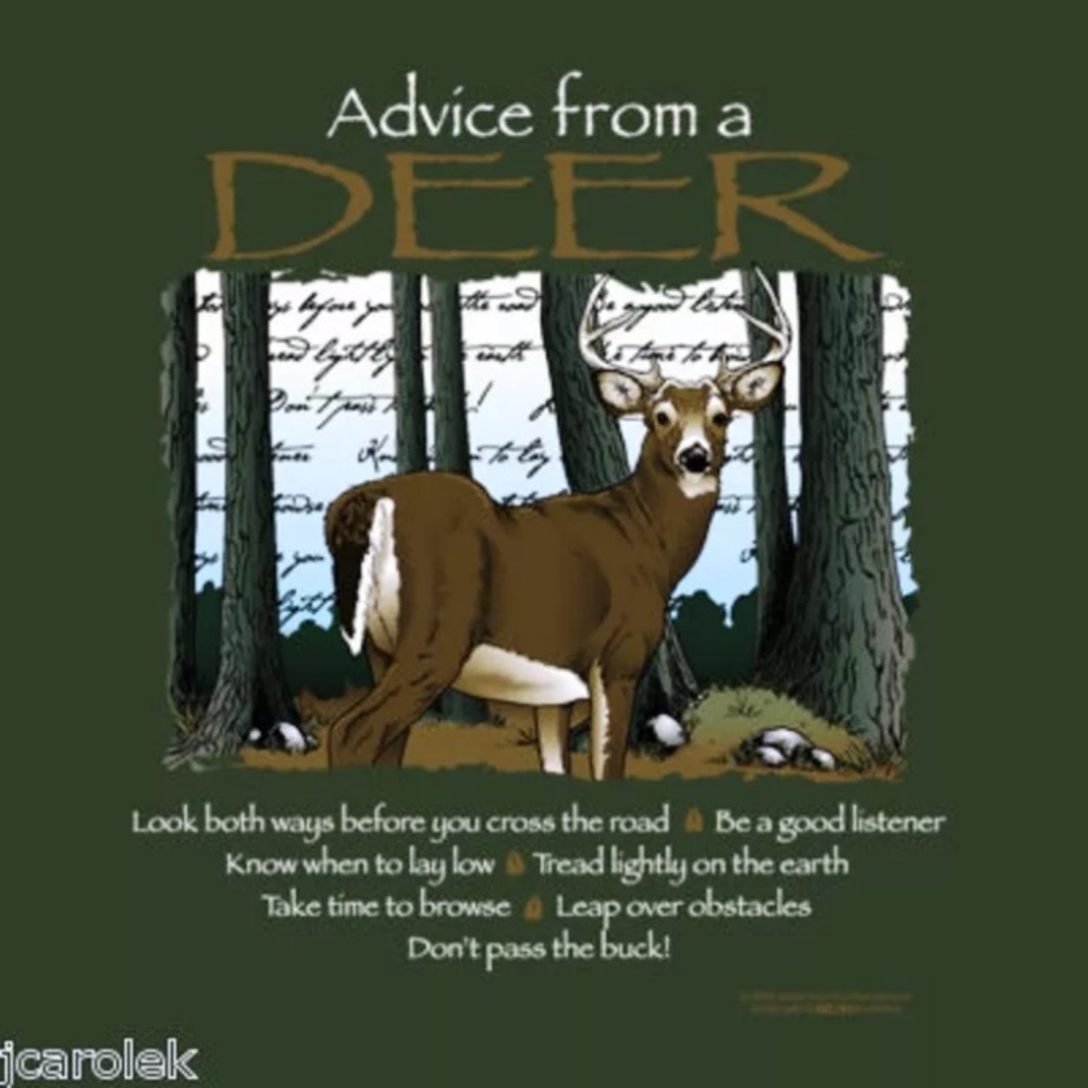 Advice From A Deer Sweatshirt